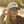 Roses 2 Tone Hat - Western & Co