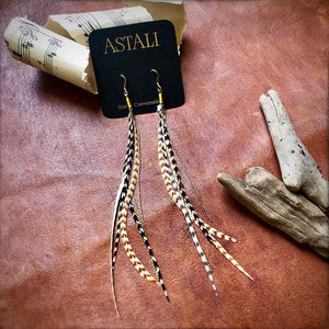 Mini Feather Black & Tan Earrings - ASTALI