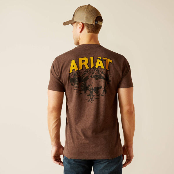 Men's Bison Sketch Shield Tee - Ariat