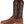 Women's Tinrose Boot - Tony Lama