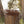 The Beaded Mesquite 3/4