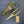 Fishing Pliers Long Haul